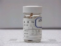 藏品(絲鰭猴鯊)的圖片